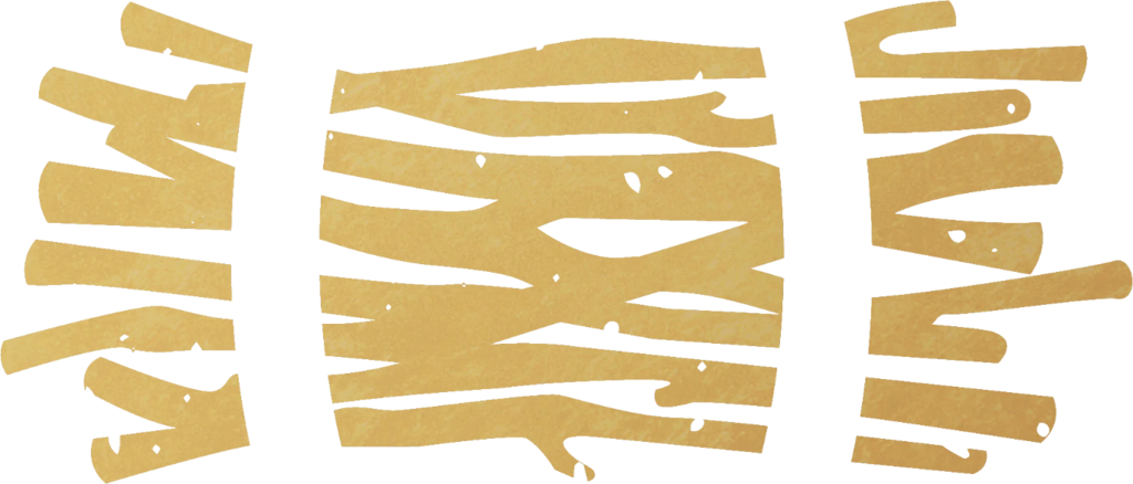 Sticks